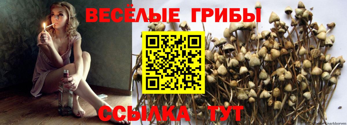Галлюциногенные грибы MAGIC MUSHROOMS  Вход с VPN  Горячий Ключ 
